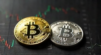 Perspektiven zu Bitcoin und Silber